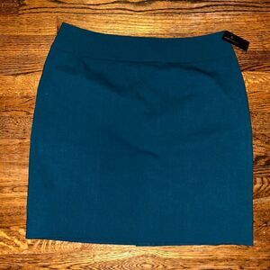 New Worthington Skirt